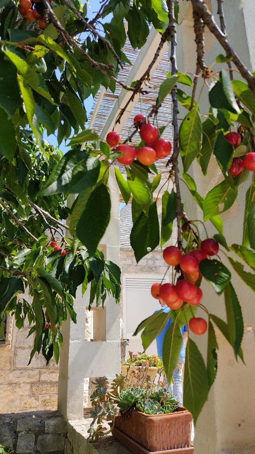 Trulli Di Zia Tata Pension Locorotondo Buitenkant foto
